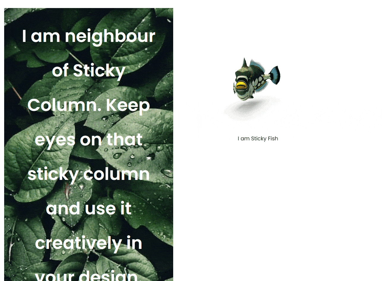 How To Create a Sticky Column in WordPress? 2 Sticky column demo