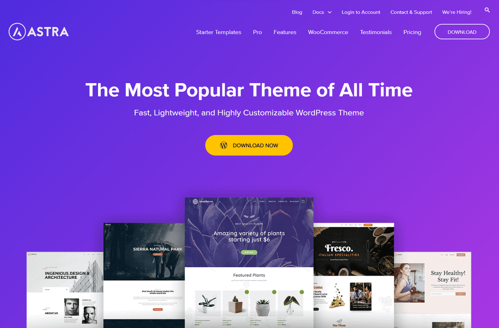 Astra Theme