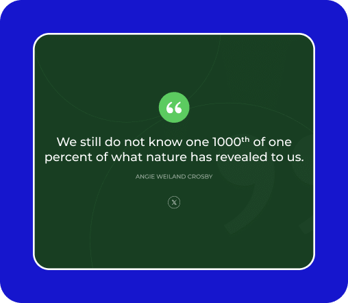 Blockquotes with Multi Social Sharing Icons