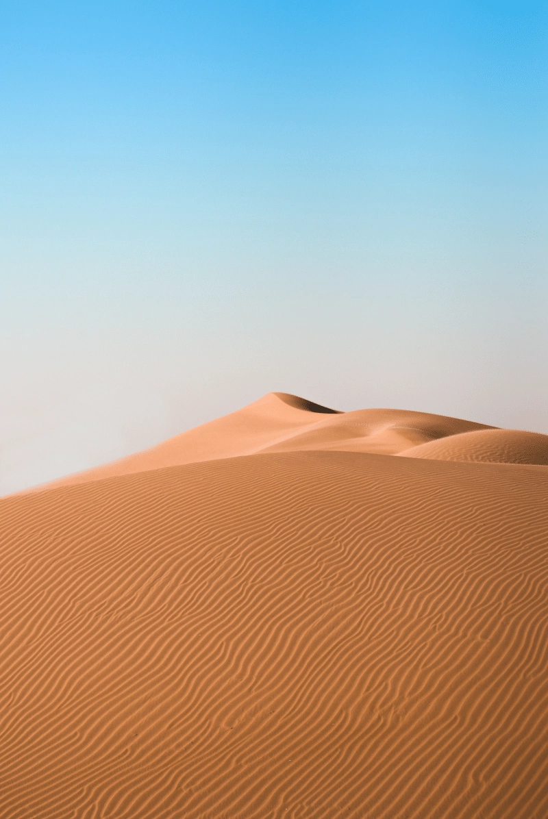 javad-saraji-so9lNI_PHKI-unsplash