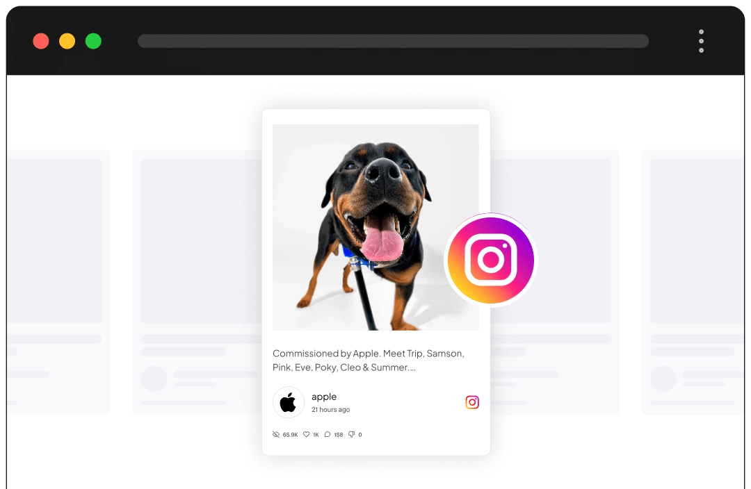 Instagram Feed