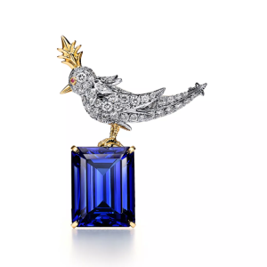 Bird on a Rock