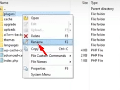 Disable Plugins 2